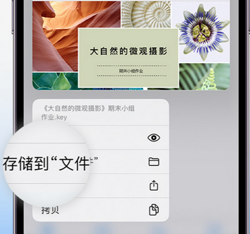 七里河apple维修中心分享iPhone文件应用中存储和找到下载文件