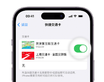 七里河apple维修点分享iPhone上更换Apple Pay快捷交通卡手绘卡面 