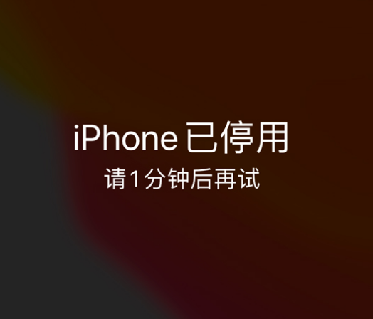 七里河苹果手机维修分享:iPhone 显示“不可用”或“已停用”怎么办？还能保留数据吗？ 