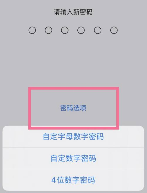 七里河苹果14维修分享iPhone 14plus设置密码的方法 