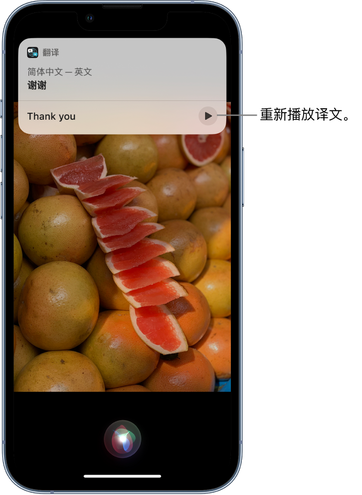 七里河苹果14维修分享 iPhone 14 机型中使用 Siri：了解 Siri 能帮你做什么 