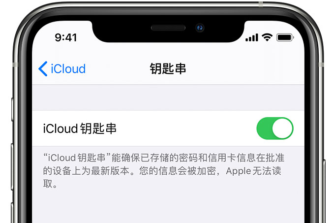 七里河苹果手机维修分享在 iPhone 上开启 iCloud 钥匙串之后会储存哪些信息 