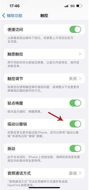 七里河苹果手机维修分享iPhone手机如何设置摇一摇删除文字 