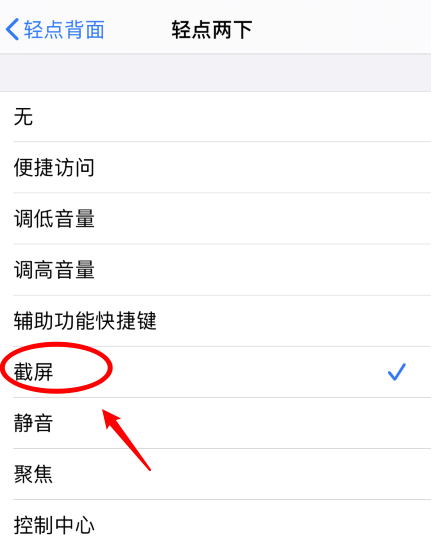 七里河苹果手机维修分享iPhone12如何启用双击截屏 