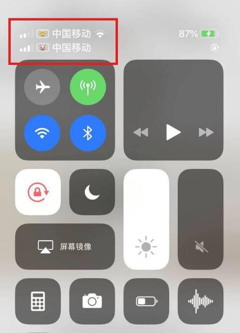 七里河苹果手机维修分享为 iPhone 12 双卡设置标签 
