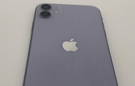 七里河苹果11系统维修分享iPhone11手机系统崩溃无法开机如何解决